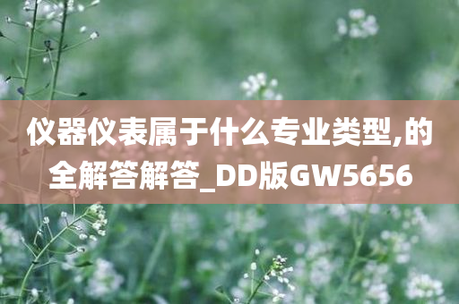 仪器仪表属于什么专业类型,的全解答解答_DD版GW5656