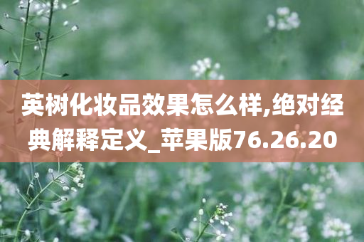 英树化妆品效果怎么样,绝对经典解释定义_苹果版76.26.20