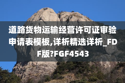 道路货物运输经营许可证审验申请表模板,详析精选详析_FDF版?FGF4543