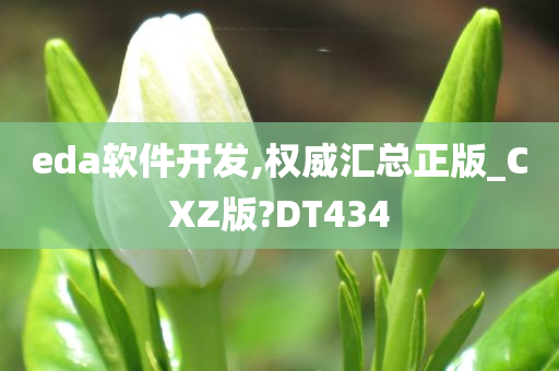 eda软件开发,权威汇总正版_CXZ版?DT434