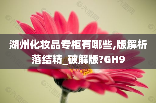 湖州化妆品专柜有哪些,版解析落结精_破解版?GH9