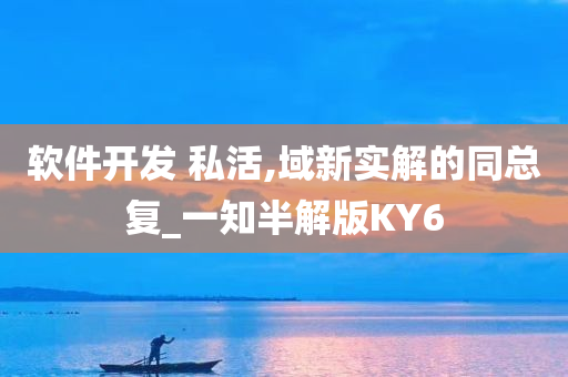 软件开发 私活,域新实解的同总复_一知半解版KY6