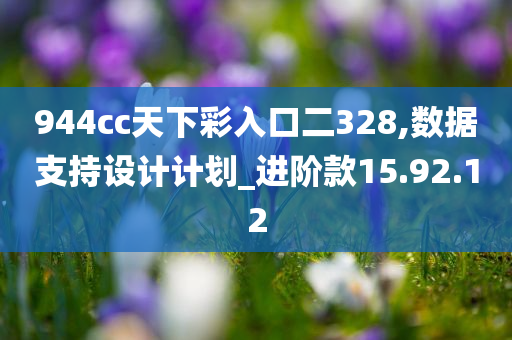 944cc天下彩入口二328,数据支持设计计划_进阶款15.92.12