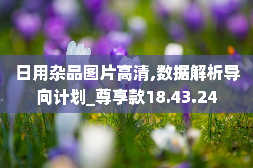 日用杂品图片高清,数据解析导向计划_尊享款18.43.24