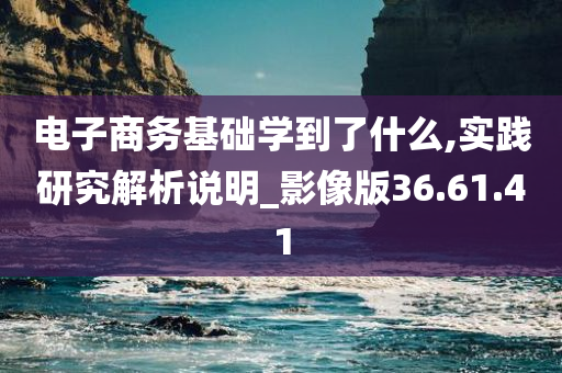 电子商务基础学到了什么,实践研究解析说明_影像版36.61.41