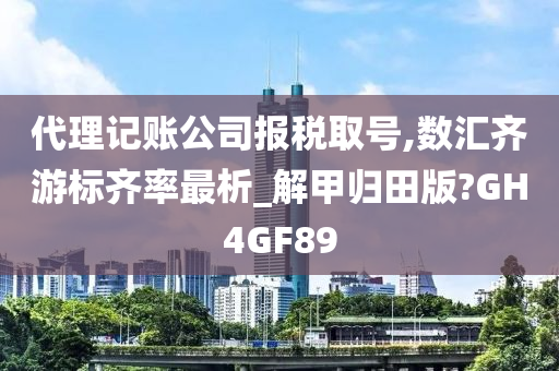 代理记账公司报税取号,数汇齐游标齐率最析_解甲归田版?GH4GF89