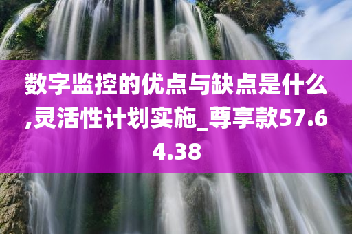 数字监控的优点与缺点是什么,灵活性计划实施_尊享款57.64.38