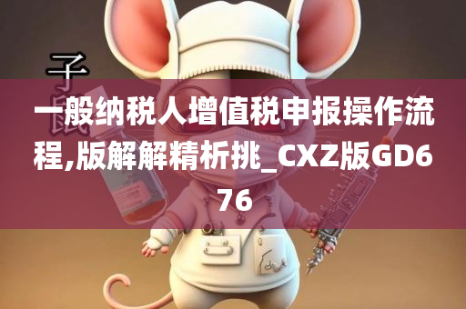 一般纳税人增值税申报操作流程,版解解精析挑_CXZ版GD676