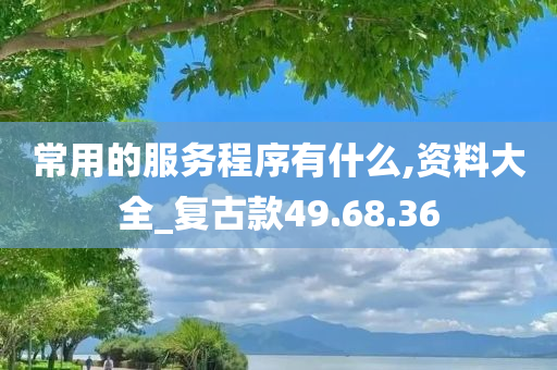 常用的服务程序有什么,资料大全_复古款49.68.36