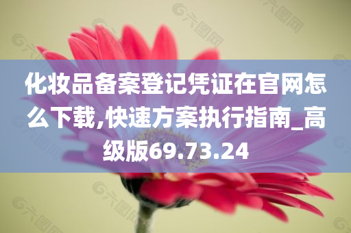 化妆品备案登记凭证在官网怎么下载,快速方案执行指南_高级版69.73.24