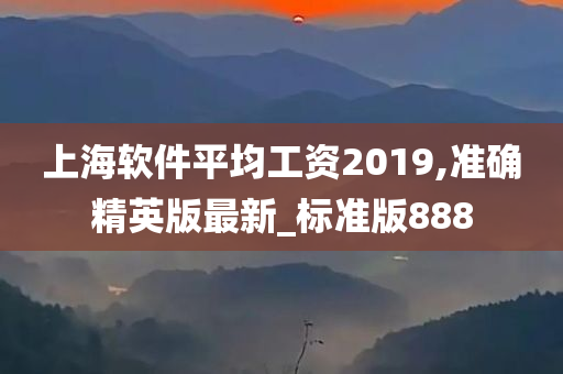 上海软件平均工资2019,准确精英版最新_标准版888