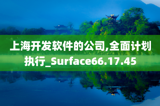 上海开发软件的公司,全面计划执行_Surface66.17.45