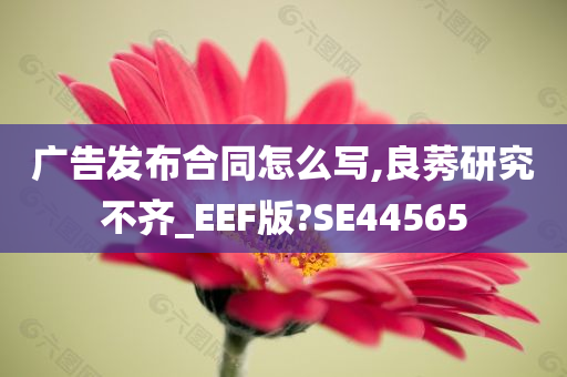 广告发布合同怎么写,良莠研究不齐_EEF版?SE44565