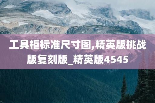 工具柜标准尺寸图,精英版挑战版复刻版_精英版4545