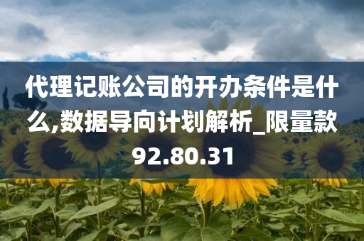 代理记账公司的开办条件是什么,数据导向计划解析_限量款92.80.31