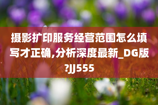 摄影扩印服务经营范围怎么填写才正确,分析深度最新_DG版?JJ555