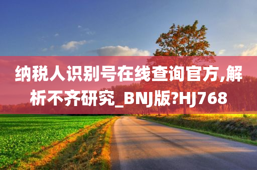 纳税人识别号在线查询官方,解析不齐研究_BNJ版?HJ768