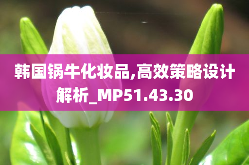 韩国锅牛化妆品,高效策略设计解析_MP51.43.30