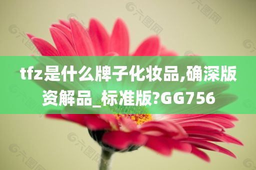 tfz是什么牌子化妆品,确深版资解品_标准版?GG756