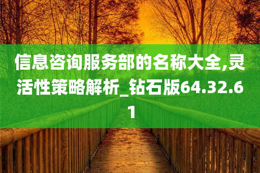 信息咨询服务部的名称大全,灵活性策略解析_钻石版64.32.61