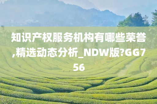 知识产权服务机构有哪些荣誉,精选动态分析_NDW版?GG756