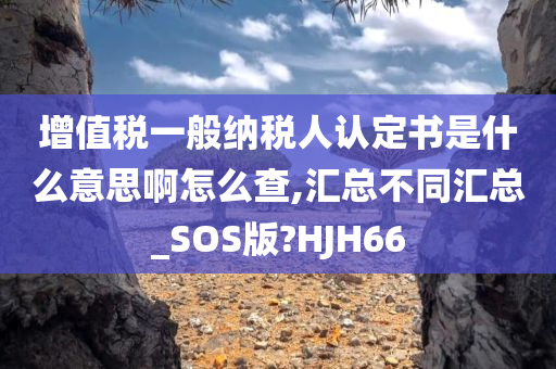 增值税一般纳税人认定书是什么意思啊怎么查,汇总不同汇总_SOS版?HJH66