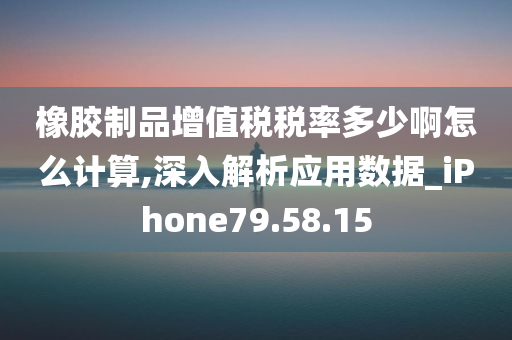 橡胶制品增值税税率多少啊怎么计算,深入解析应用数据_iPhone79.58.15