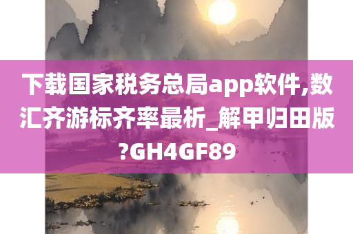 下载国家税务总局app软件,数汇齐游标齐率最析_解甲归田版?GH4GF89