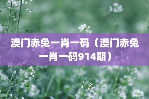 澳门赤兔一肖一码（澳门赤兔一肖一码914期）