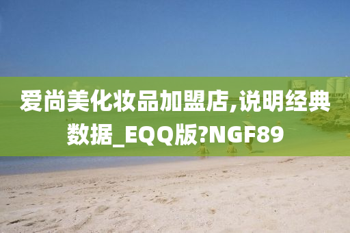 爱尚美化妆品加盟店,说明经典数据_EQQ版?NGF89