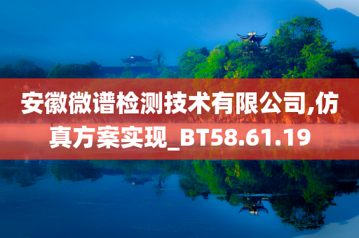 安徽微谱检测技术有限公司,仿真方案实现_BT58.61.19