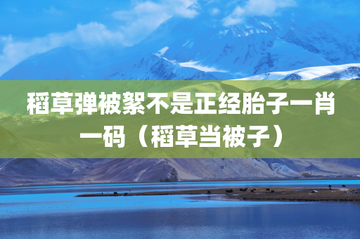 稻草弹被絮不是正经胎子一肖一码（稻草当被子）