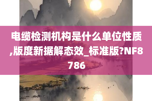 电缆检测机构是什么单位性质,版度新据解态效_标准版?NF8786