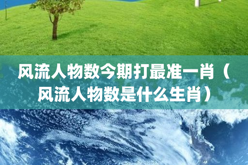 风流人物数今期打最准一肖（风流人物数是什么生肖）