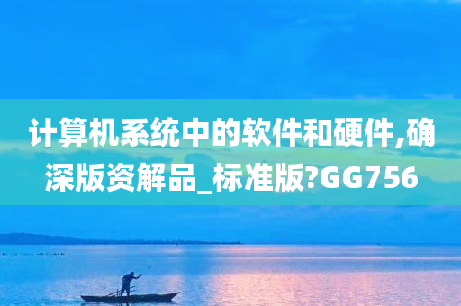 计算机系统中的软件和硬件,确深版资解品_标准版?GG756