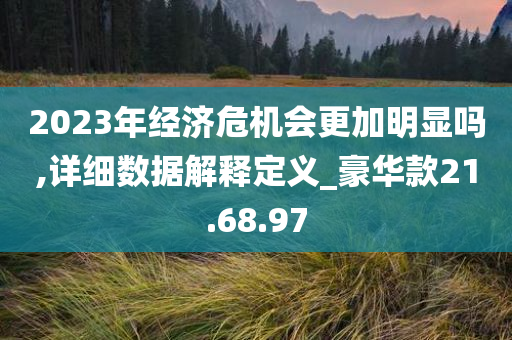 2023年经济危机会更加明显吗,详细数据解释定义_豪华款21.68.97