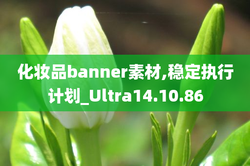 化妆品banner素材,稳定执行计划_Ultra14.10.86