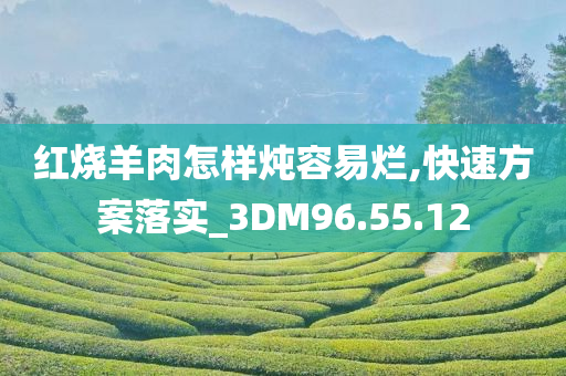 红烧羊肉怎样炖容易烂,快速方案落实_3DM96.55.12