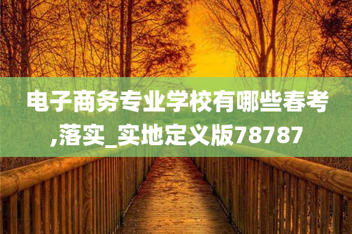 电子商务专业学校有哪些春考,落实_实地定义版78787