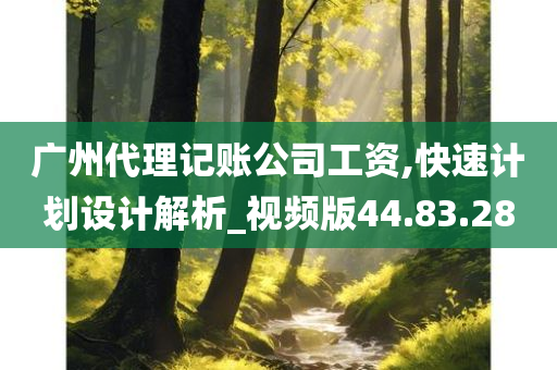 广州代理记账公司工资,快速计划设计解析_视频版44.83.28