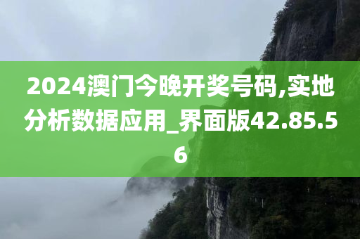 2024澳门今晚开奖号码,实地分析数据应用_界面版42.85.56