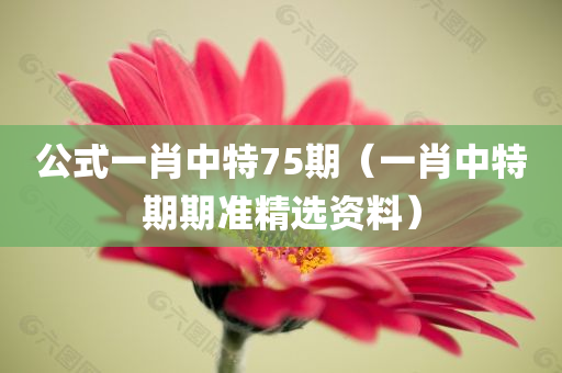 公式一肖中特75期（一肖中特期期准精选资料）