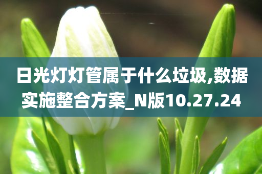 日光灯灯管属于什么垃圾,数据实施整合方案_N版10.27.24