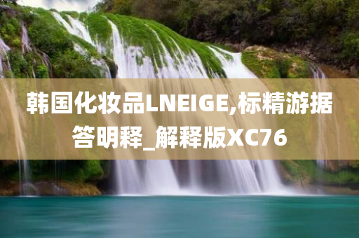 韩国化妆品LNEIGE,标精游据答明释_解释版XC76