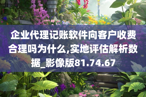 企业代理记账软件向客户收费合理吗为什么,实地评估解析数据_影像版81.74.67