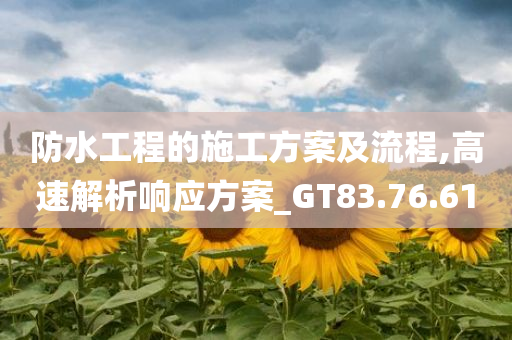 防水工程的施工方案及流程,高速解析响应方案_GT83.76.61