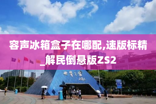 容声冰箱盒子在哪配,速版标精_解民倒悬版ZS2