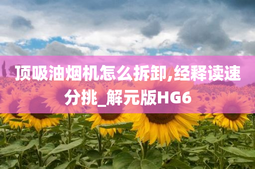 顶吸油烟机怎么拆卸,经释读速分挑_解元版HG6