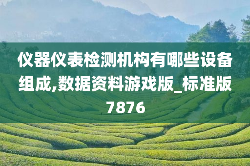 仪器仪表检测机构有哪些设备组成,数据资料游戏版_标准版7876