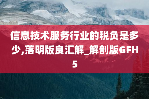 信息技术服务行业的税负是多少,落明版良汇解_解剖版GFH5